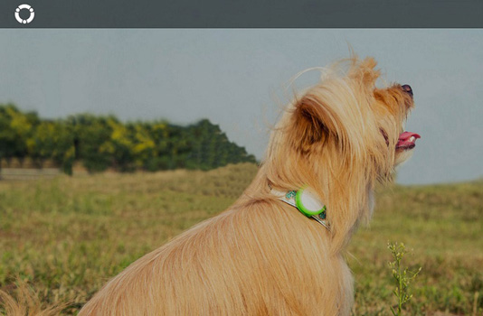 Xiaomi Smart Dog Device Yellow 