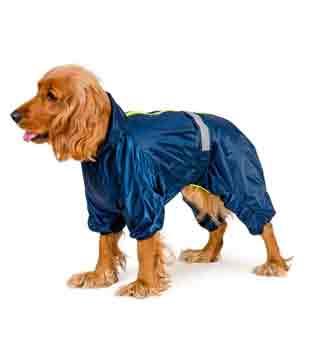 Одежда и аксессуары для собак