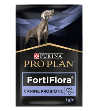 Сухой корм для собак