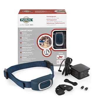 Амуниция для собак