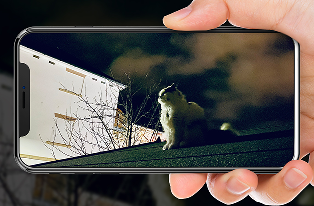 Ночная съемка камер iPhone: все, что нужно знать для создания идеальных фото