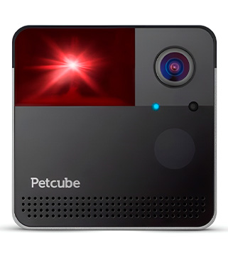 Видеонаблюдение за животными